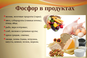 אילו מאכלים עשירים בזרחן?