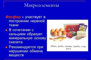 מאקרו-נוטריינטים בגוף האדם - רשימה