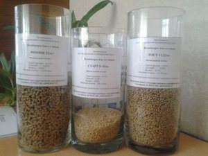 אנחנו מייצרים מזון מורכב בעצמנו