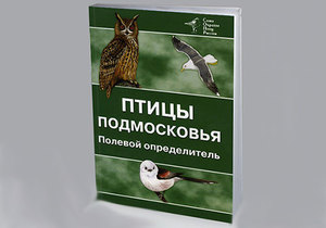ציפורים של אזור מוסקבה: תמונות, שמות ותיאורים