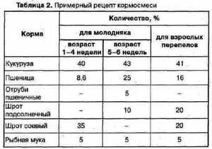 גידול שליו בבית גידול שליו - האכלה וטיפול