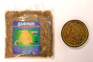 מה ואיך להאכיל שפמנון באקווריום עצות מאקווריומים מנוסים על מה וכיצד להאכיל נכון דגי שפמנון באקווריום