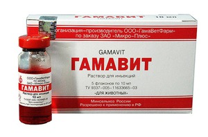 מוצר רפואי הוראות שימוש בוויטם