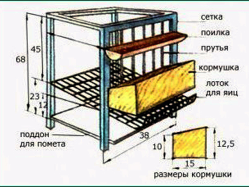 כלוב לתרנגולת מטילה
