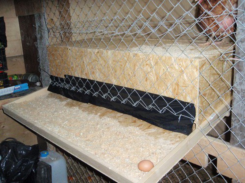 איך להכין קן תרנגולות