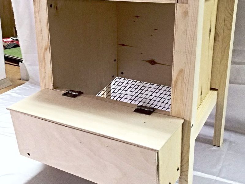 בניית קן לתרנגולת מטילה