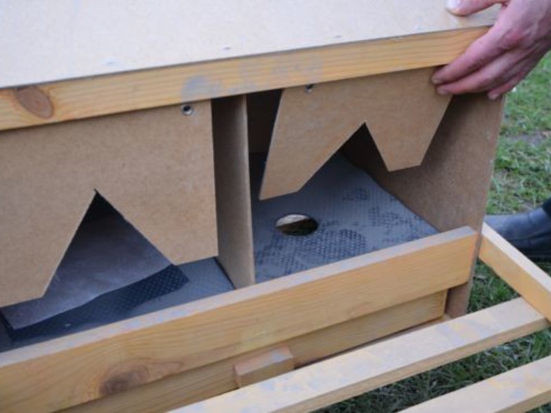 בניית קן לתרנגולות מטילות