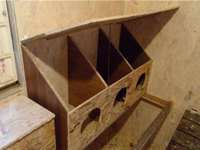 איך להכין קן בעצמך