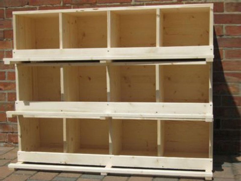 בית לתרנגולת מטילה