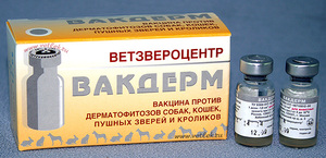 וקדרם לחתולים תרופה לחתולים