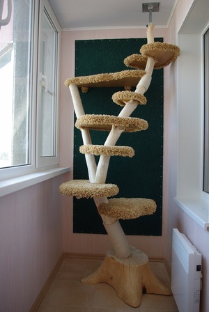 בית חתולים מגניב לעשות בעצמך