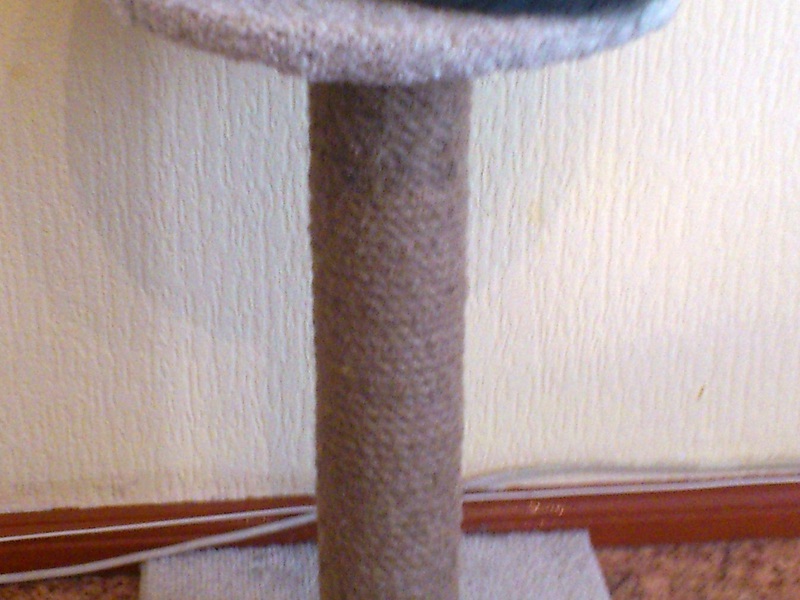 איך להכין עמוד גירוד