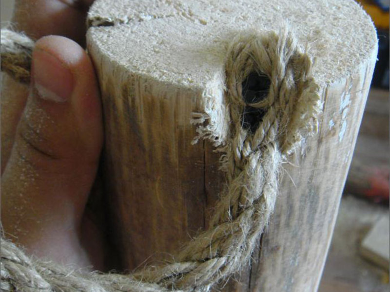 עמוד גירוד לחתולים