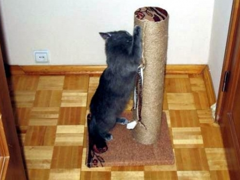 עמוד גירוד עשה זאת בעצמך.