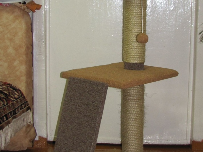 איך להכין עמוד גירוד