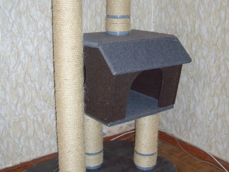 איך להכין עמוד גירוד לחתולים