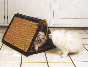 בניית בתי חתולים במו ידיכם באיזה חומר כדאי להשתמש כדי לבנות בית לחתולים?