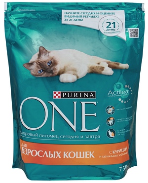 איך לבחור אוכל לחתולים