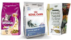 איך לבחור את המזון הנכון לחתול שלכם