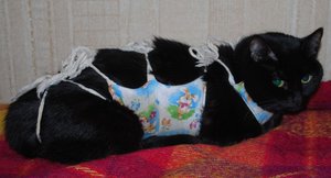 מטרת השמיכה