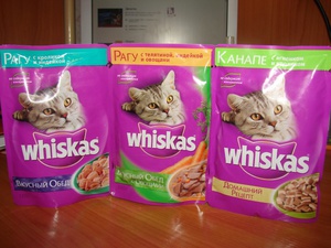 יתרונות וחסרונות של תערובות מוכנות לחתולים