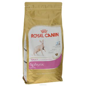 אוכל לחתולים איך לבחור אוכל לחתולים