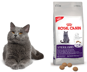 ביקורות וטרינרים על המזון מה אומרים וטרינרים על המזון