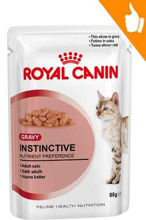 יתרונות וחסרונות של האוכל איך לבחור מזון לחיית המחמד שלכם