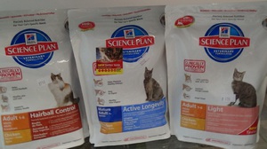 איזה אוכל לבחור? מזון לחתולים של רויאל קנין