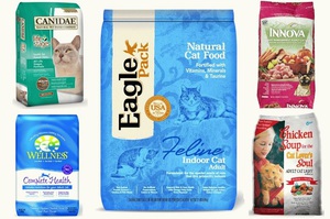 היתרונות של מזון הוליסטי לחתולים