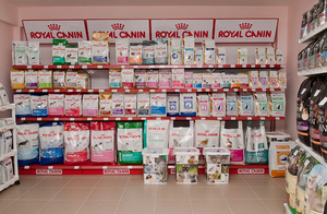 מהם מזונות מסוג סופר פרימום? תיאור של מזון לכלבים מסדרת סופר פרימום