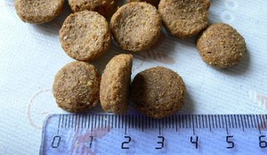 אוכל לכלבים קנוי מזון יבש