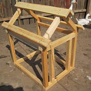 איך להכין בית לכלבים כיצד להרכיב מתחם בצורה נכונה