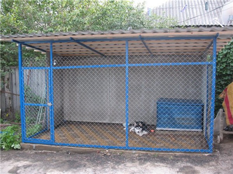 בניית מתחם לכלבים בית כלבים DIY