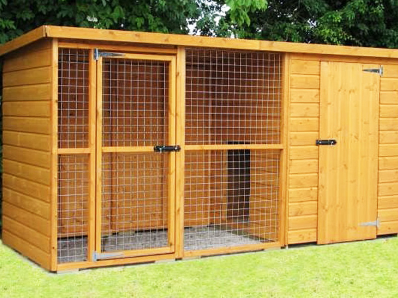 דוגמה למתחם כלבים בית כלבים לאזור