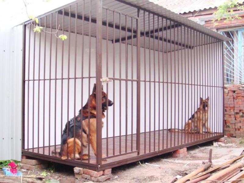 כלוב עשוי מגדר רשת בתי עץ לכלבים