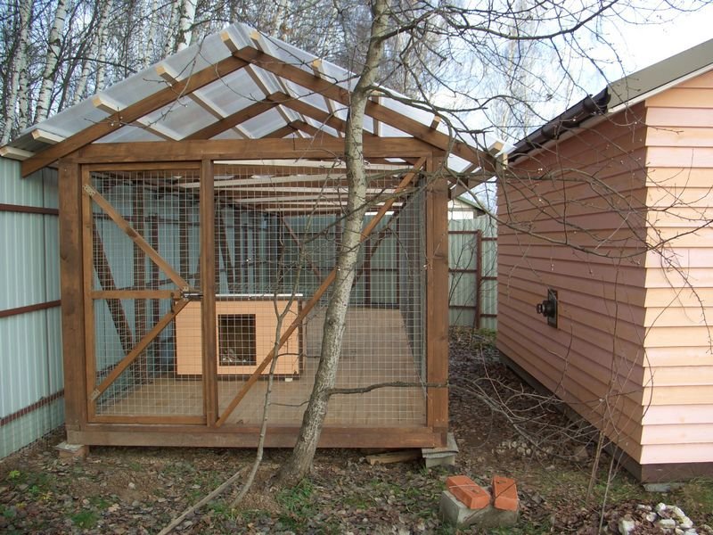 איך להכין ציפורייה מתחם חיות מחמד