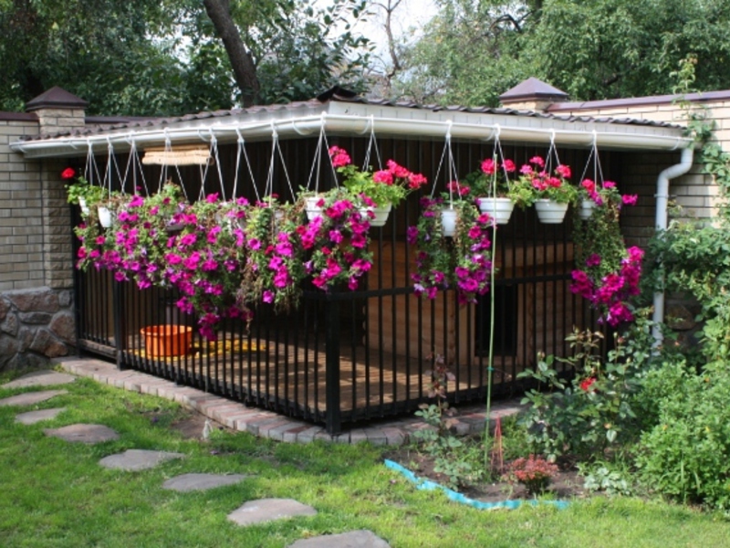 בניית המתחם ממה להכין ציפורייה