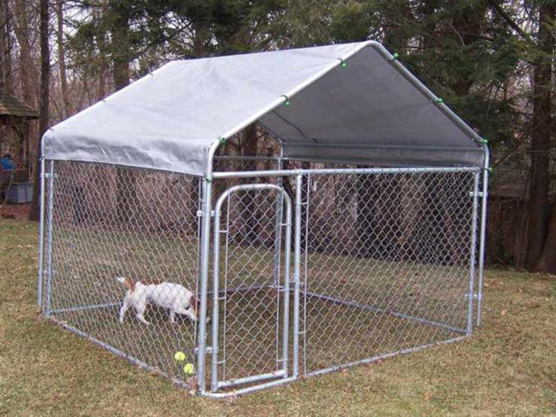 בתי כלבים קאנו לכלבים