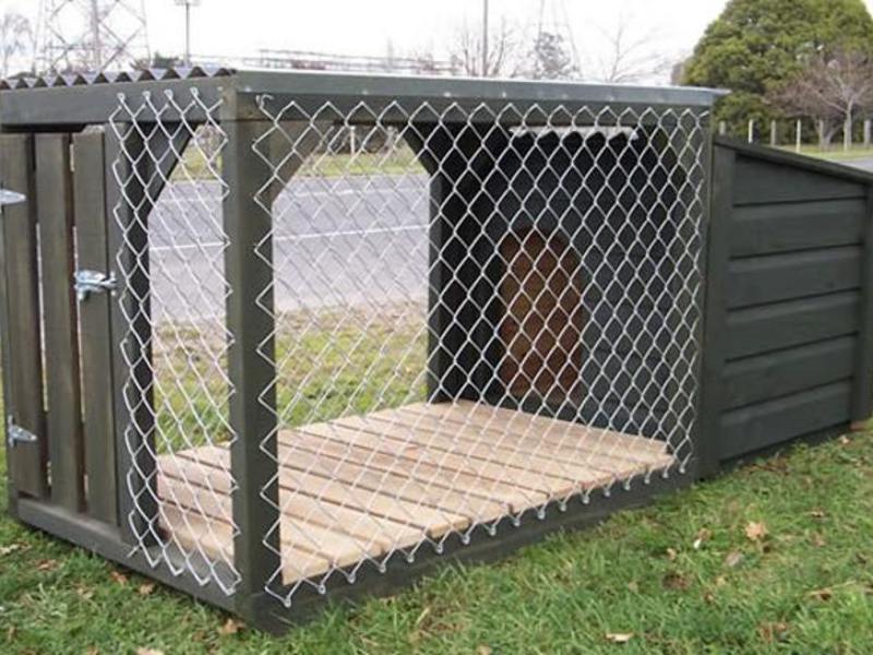 מארז רשת תיל ריצת כלבים DIY