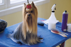 יש לעקר את כלי הטיפוח.