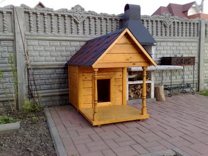 מה מיוחד בהרכבת התא?