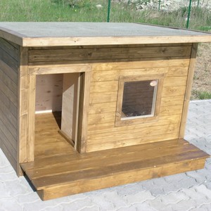 באיזה חומר כדאי להשתמש כדי לבנות מלונה לכלבים?