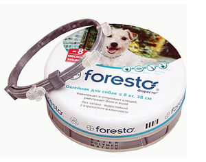 הכל על צווארון פורסטו