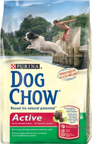 תיאור של מזון יבש לכלבים מזון יבש לכלבים