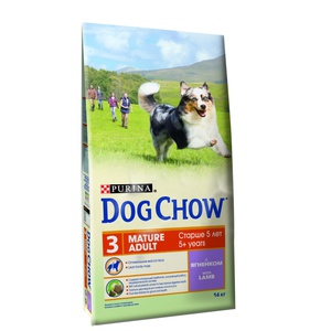 דיאטת כלבים איך לבחור מזון לכלבים