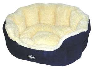 מהם הפרטים הספציפיים של ארגון מקום לכלב? תיאור הניואנסים של ארגון מקום לכלב