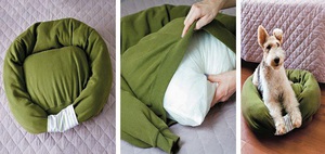 מה ממליצים מומחים להכנת מיטת כלבים? עצות מקצועיות כיצד להכין מיטת כלבים נכונה