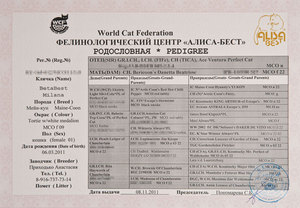 אילן יוחסין של חתול היכן נולד החתול?