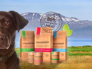 עצות וטרינרים לבחירת מזון